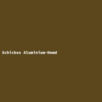 Schickes Aluminium-Hemd